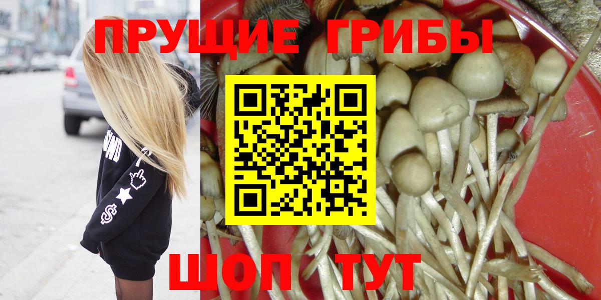 Сальск  Галлюциногенные грибы MAGIC MUSHROOMS  хочу наркоту  Вход с VPN 
